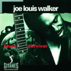 /Joe%20Lewis%20Walker%20-%20Blues%20Survivor